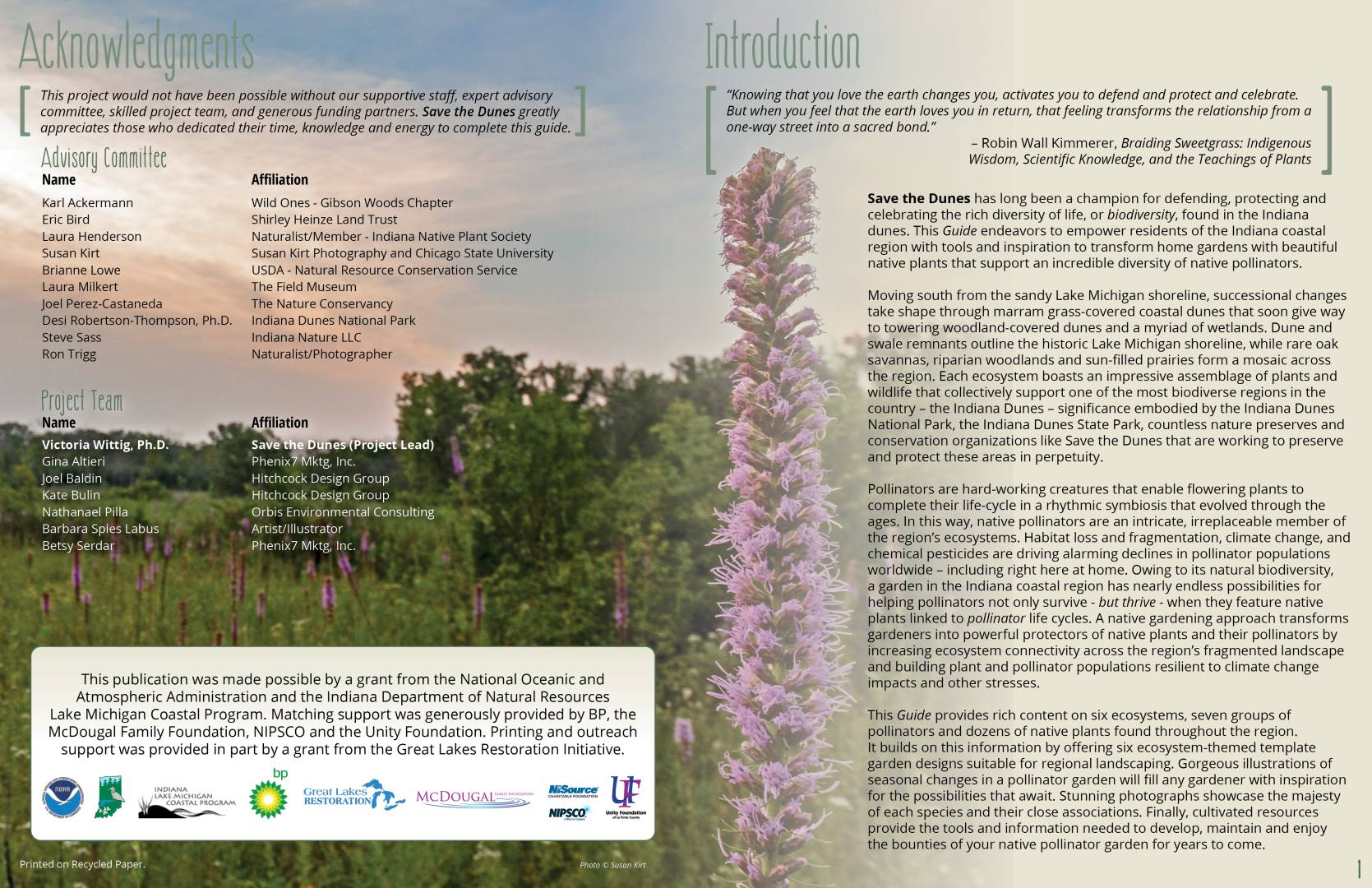 V_Pollinator Guidebook_image 2_2022 Deidre Ewers